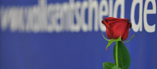 ueberuns Die Rose für die direkte Demokratie